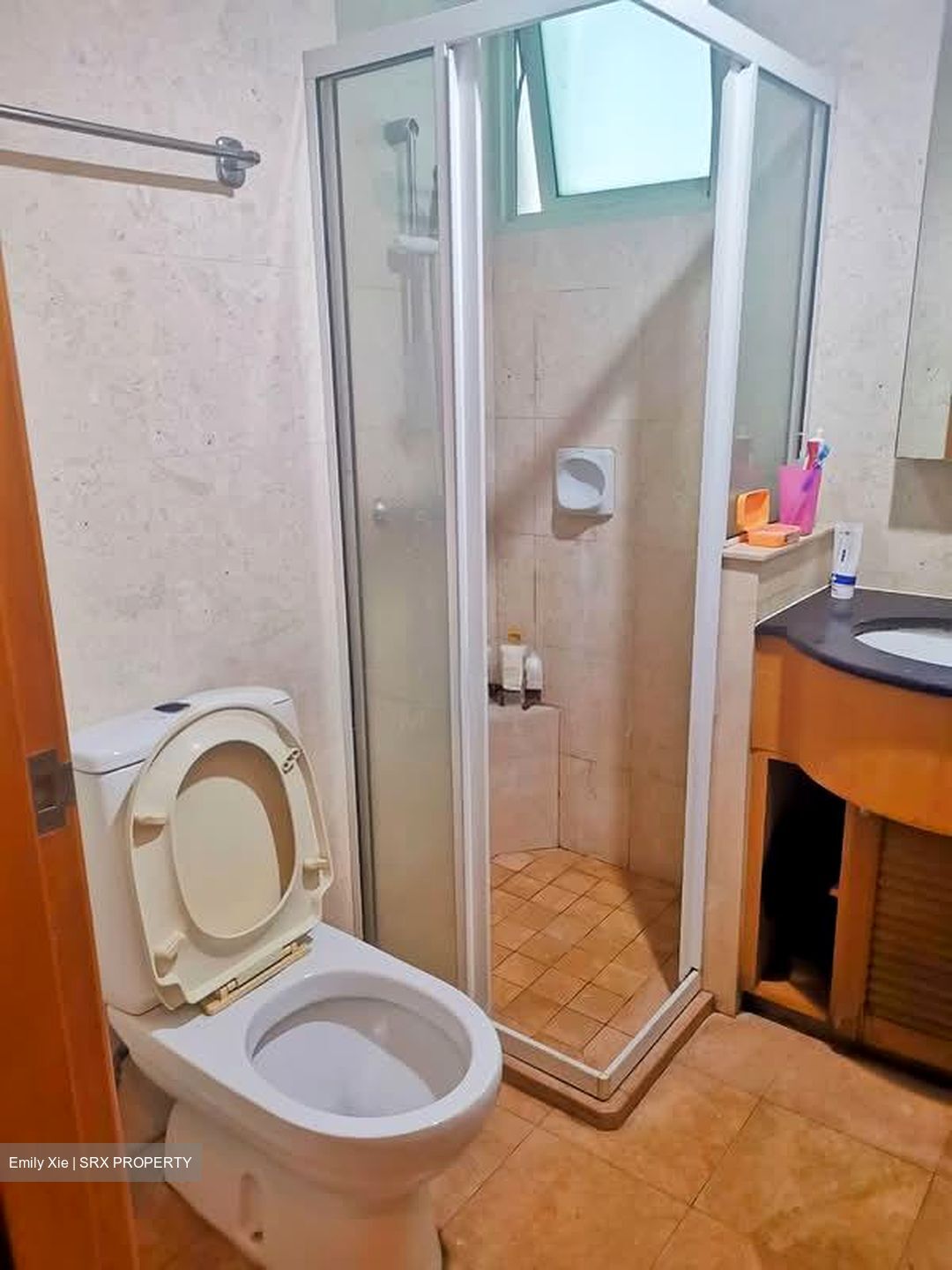 Queens (D3), Condominium #528563411